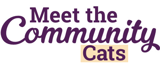 Meet the community cats.